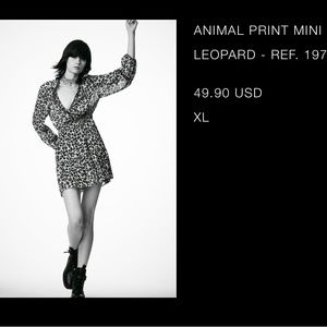 Animal Print Mini Dress Zara